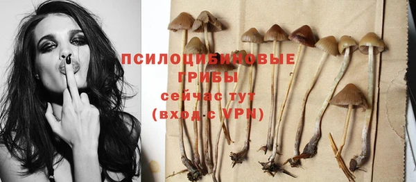 прущая мука Кукмор