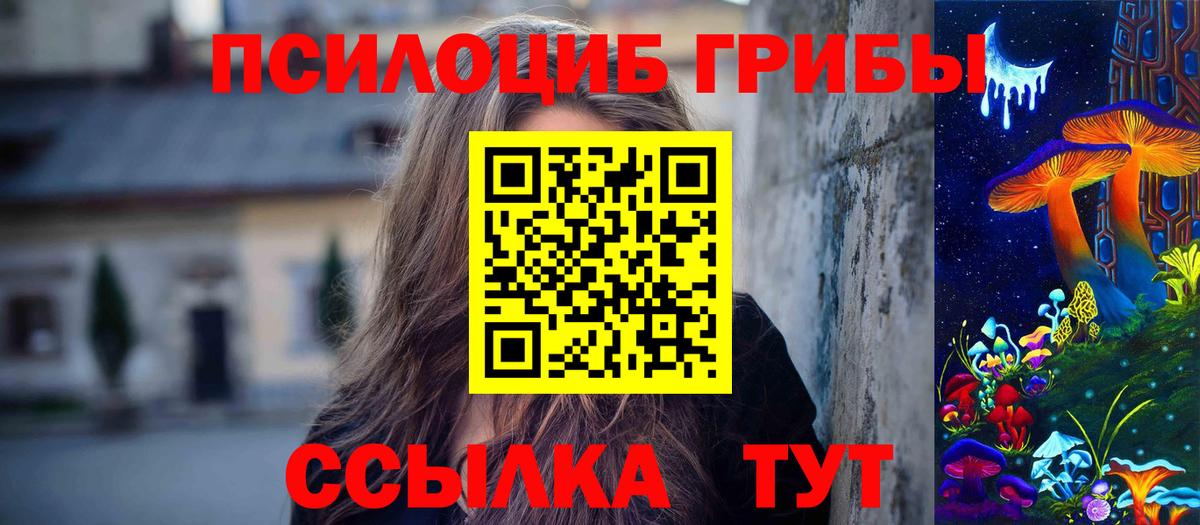 Псилоцибиновые грибы мицелий  Чапаевск  Галлюциногенные грибы GOLDEN TEACHER 