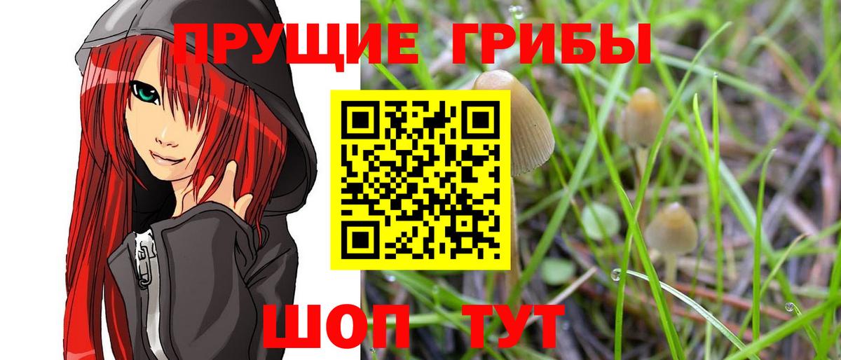 Галлюциногенные грибы мицелий Чапаевск